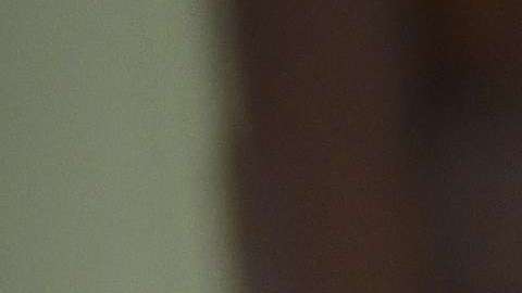 Paul Gosar afirma que se opone a la amnistía de indocumentados.