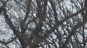 Los rusos acudieron a varios eventos de la inauguración del gobierno de Trump.