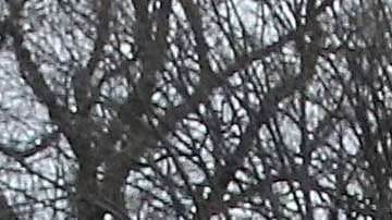 Los rusos acudieron a varios eventos de la inauguración del gobierno de Trump.