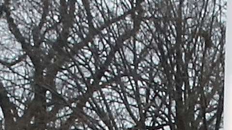 Los rusos acudieron a varios eventos de la inauguración del gobierno de Trump.