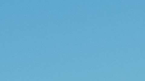 El presidente Trump ha sido criticado por sus exabruptos.