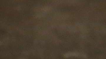 Hoy Trump presentará el esperado discurso sobre el "Estado de la Unión"