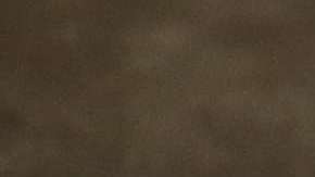 Hoy Trump presentará el esperado discurso sobre el "Estado de la Unión"