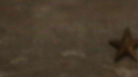 Hoy Trump presentará el esperado discurso sobre el "Estado de la Unión"