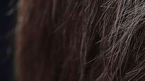 Bannon dejará la presidencia de Breitbart News.