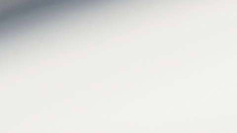 La Primera Dama no viajó con su esposo a Davos.