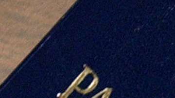 Los parámetros de los pasaportes son impuestos por la Organización de Aviación Civil Internacional (OACI)