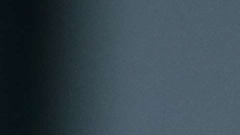 Melania Trump fue el centro de las críticas por su atuendo de fin de año