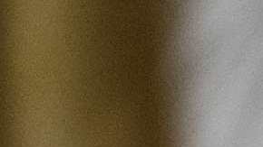 Correo de voz de la Casa Blanca acusa a los demócratas del cierre del gobierno