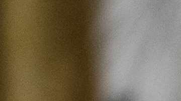 Correo de voz de la Casa Blanca acusa a los demócratas del cierre del gobierno