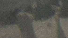 No se detectó influencia de sitios de “noticias falsas” en el debate migratorio