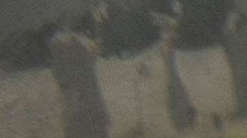 No se detectó influencia de sitios de “noticias falsas” en el debate migratorio