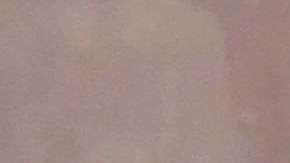 Se estima que hay más de 10 millones de mexicanos en EEUU.