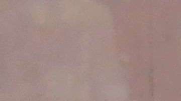 Se estima que hay más de 10 millones de mexicanos en EEUU.