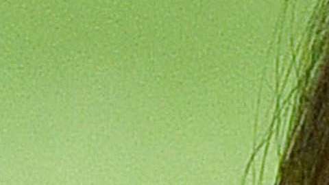 Continúa la duda sobre distanciamiento de la Primera Dama de su esposo.