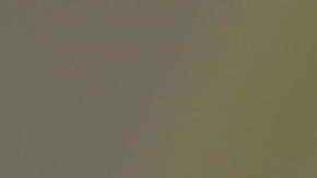 El presidente Trump busca acotar diversas formas de migración a EEUU.