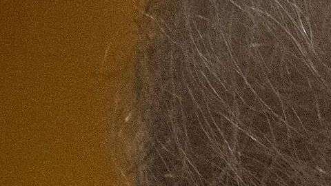 Esta semana se conoceran los primeros cargos que arroja la investigación del Rusiagate