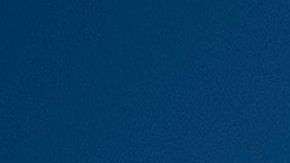 TOPSHOT-US-POLITICS-TRUMP