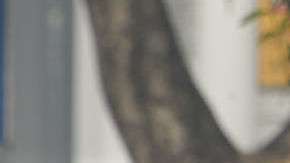 La contaminación del aire, de cierta manera, protege a la Tierra.