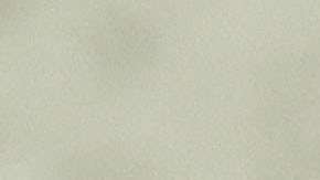 Los retrocesos ambientales hechos por Trump serían irreparables para el planeta