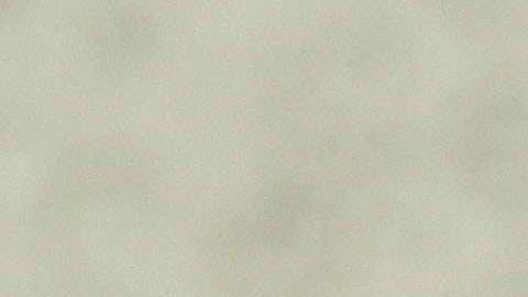 Los retrocesos ambientales hechos por Trump serían irreparables para el planeta