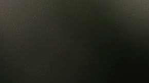 El presidente Trump ha sido relacionado con estrellas porno.