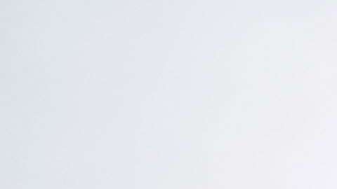 Un alto porcentaje de los centroamericanos está protegido por el TPS.