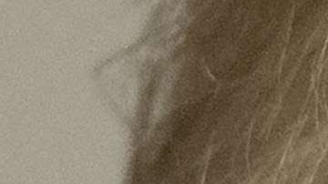 Trump no irá, por ahora, a Inglaterra.