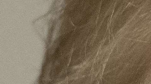 Trump no irá, por ahora, a Inglaterra.