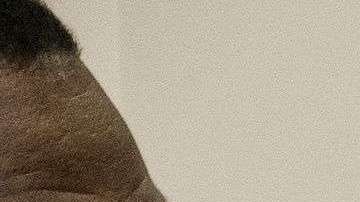 Tepesianos de El Salvador, Haití y Nicaragua no corrieron con la misma suerte