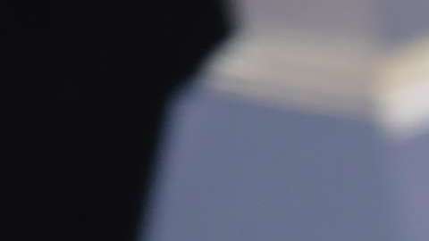 Camila Cabello llamó a salvar a los "soñadores"