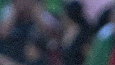 La selección mexicana enfrentará a Islandia y Croacia en marzo