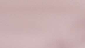 La afición de México es la cuarta con mayor demanda para el Mundial de Rusia 2018