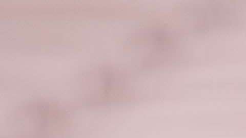 La afición de México es la cuarta con mayor demanda para el Mundial de Rusia 2018