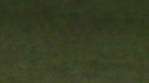 Javier "Chichsrito" Hernández saldría del West Ha antes de finalizar enero