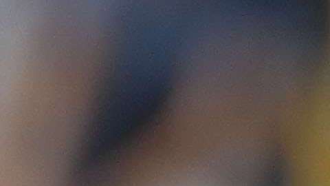 New England Patriots recibe a Tennessee Titans, en los playoffs de la NFL