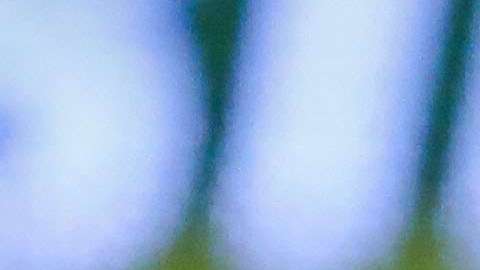 Oribe Peralta se lamenta, tras dejar escapar el triunfo en el Azteca