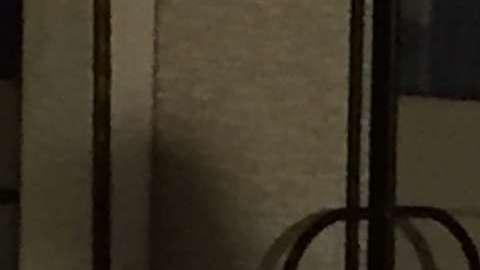 David Villa, delantero del New York City FC