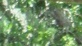 Jacinda Ardern, primera minista de Nueva Zelanda. Wikimedia Commons.