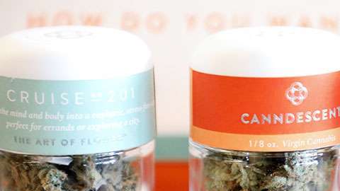 La legalización del consumo recreacional de marihuana pudiera ser imitado muy pronto en otros estados del país.