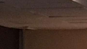 El secretario de Salud dijo que aún se revisan las causas de la irritación.