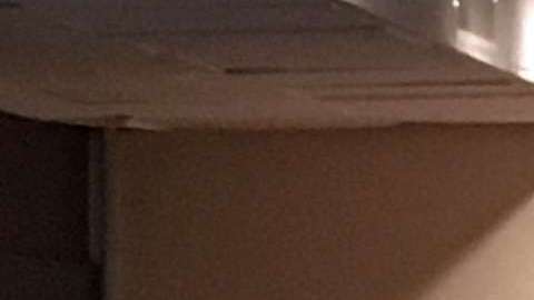 El secretario de Salud dijo que aún se revisan las causas de la irritación.