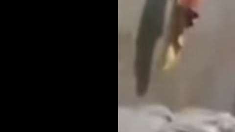 A la mujer le quitaron sus tres hijos.