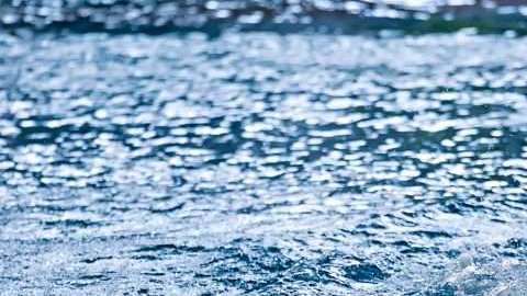 Tras golpearse la cabeza, la clavadista mexicana  Samantha Jiménez cayó inconsciente.