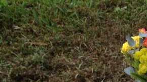 El gobierno no permiti´po tampoco un velorio, lo sacó de la morgue directo al cementerio.