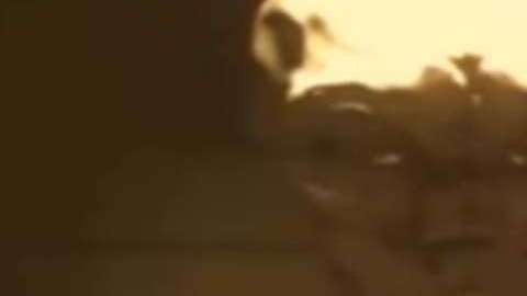 El supuesto ser de otro planeta se ve de frente a la cámara.