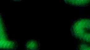 Cientos de personas se vieron afectadas por ciberataques en Illinois.