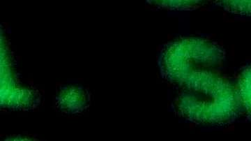 Cientos de personas se vieron afectadas por ciberataques en Illinois.