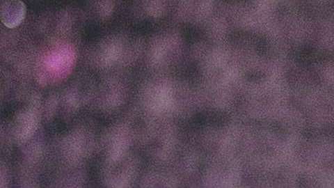 Los padrastros podrían convertirse en un problema mayor.