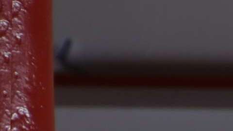 Los entrenamientos en intérvalos de alta intensidad se perfilan como la tendencia de este año en el mundo del “fitness”.